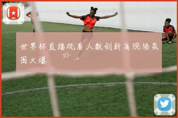 世界杯直播观看人数创新高现场氛围火爆