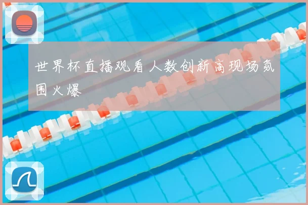 世界杯直播观看人数创新高现场氛围火爆